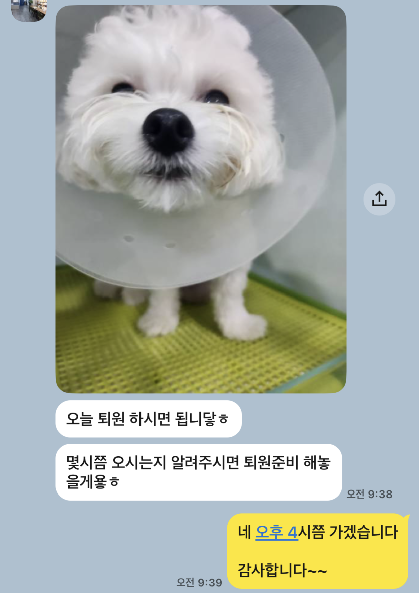 퇴원 시키러 갑니다 호호..(0)