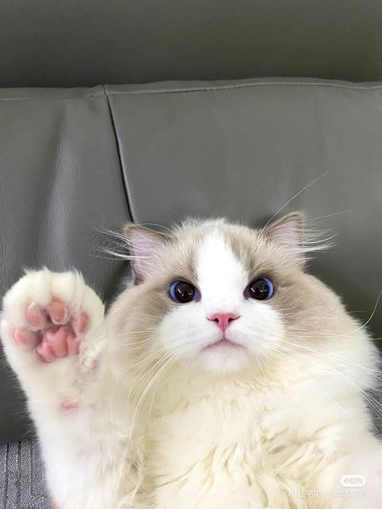 기상기상!!!!!!(0)