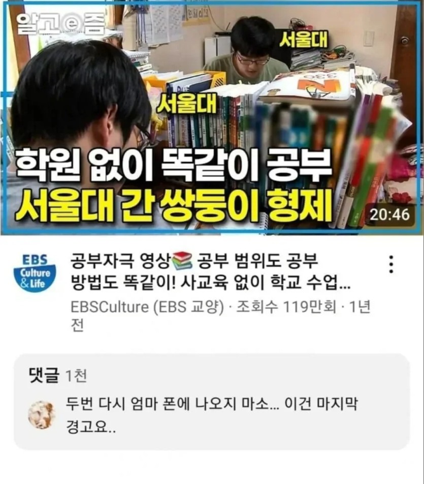 서울대간 쌍둥이에게 경고(0)