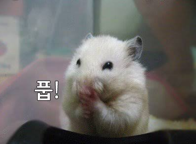 진정한 승리자(0)