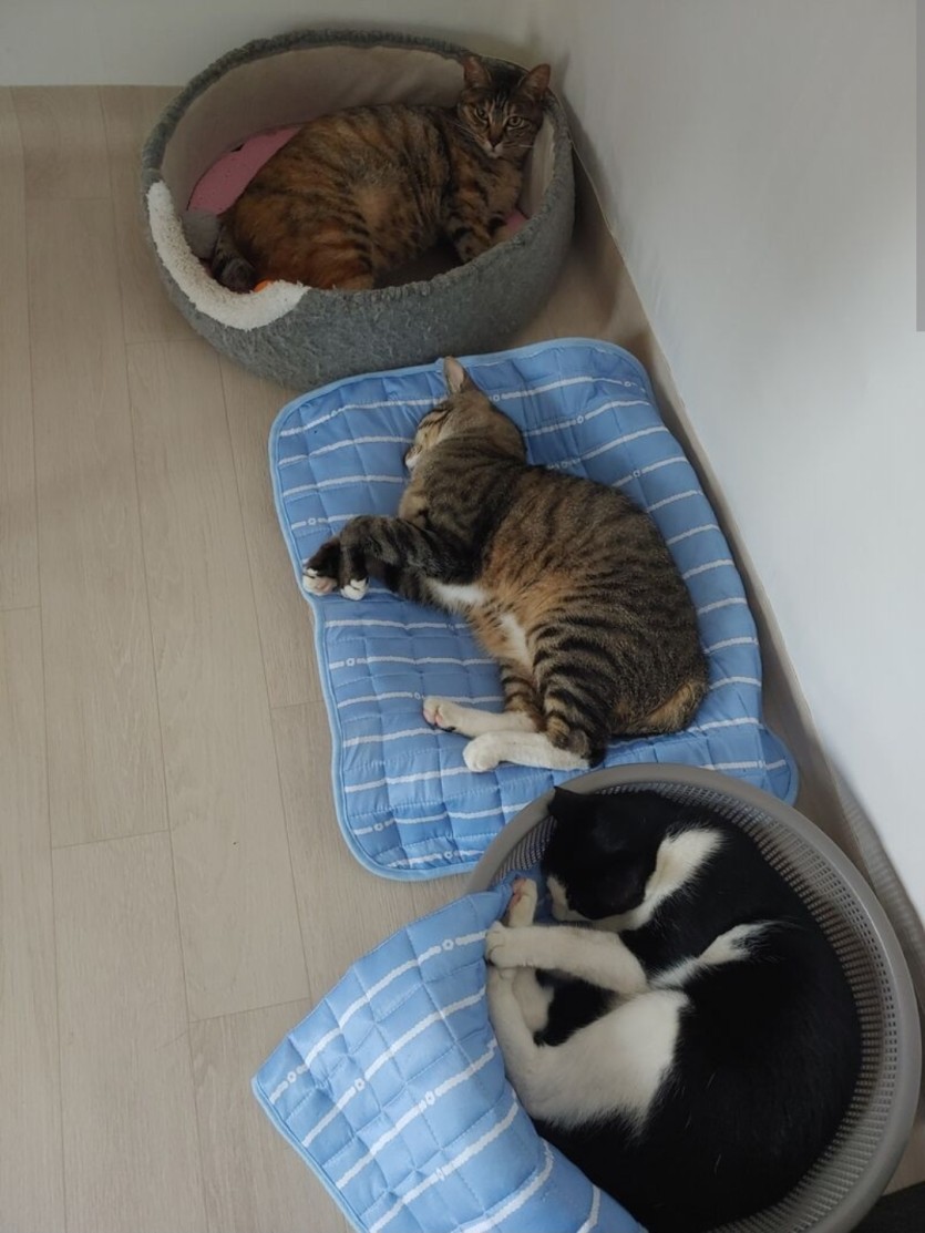 뭔가....(0)