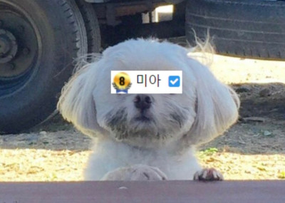 아직도 등급 안달린 사람들은 보증 이용 안하는 사람임? ㅡㅡ(0)