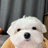 매크로 아직도 그냥 활동하는데(0)