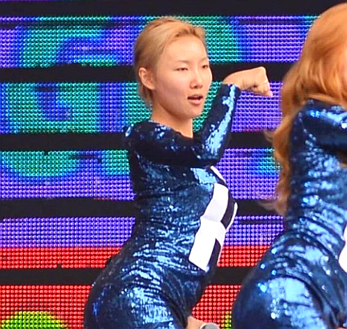 싫어하는 연예인 있으신가요?(1)