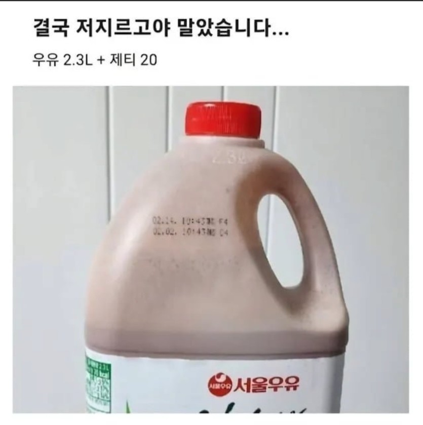 어릴적 꿈을 이뤘다(0)
