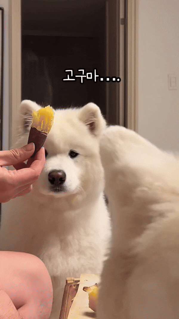 실적 신청해놓은 건 아침 되야 승인 될려나보네요(0)