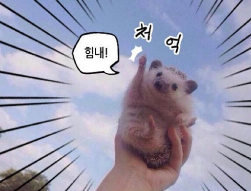 댓노 삽 갈겨야겠씁니다(0)