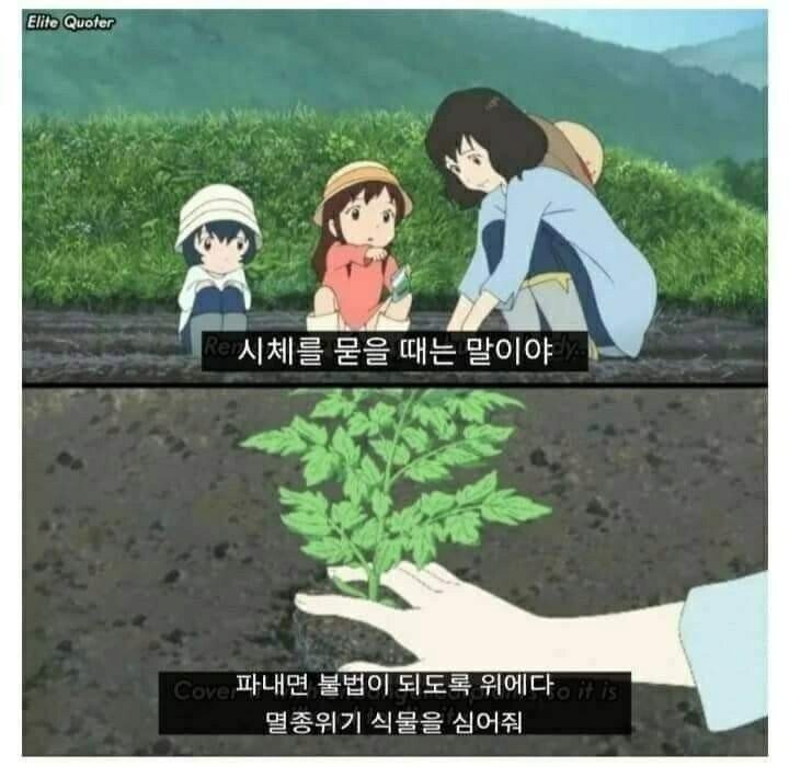 도박쟁이들 생각 다 똑같군요ㅎㅎ(0)
