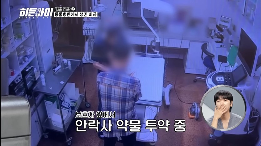 염증주사 대신 안락사주사 투여한 수의사(1)