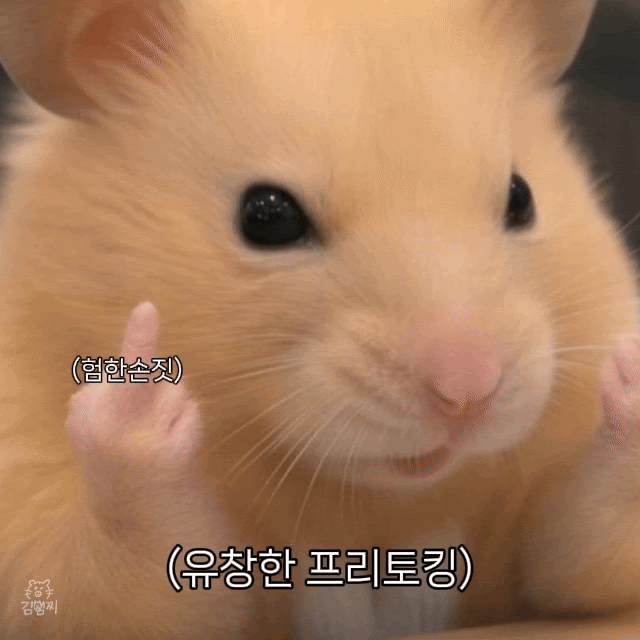 제 소중한 30포전이(0)