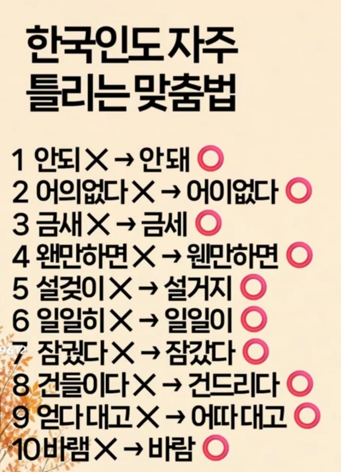 자주 틀리는 맞춤법(0)