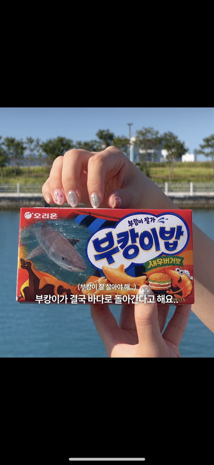 부킹이 밥 ㅅㅅ(0)