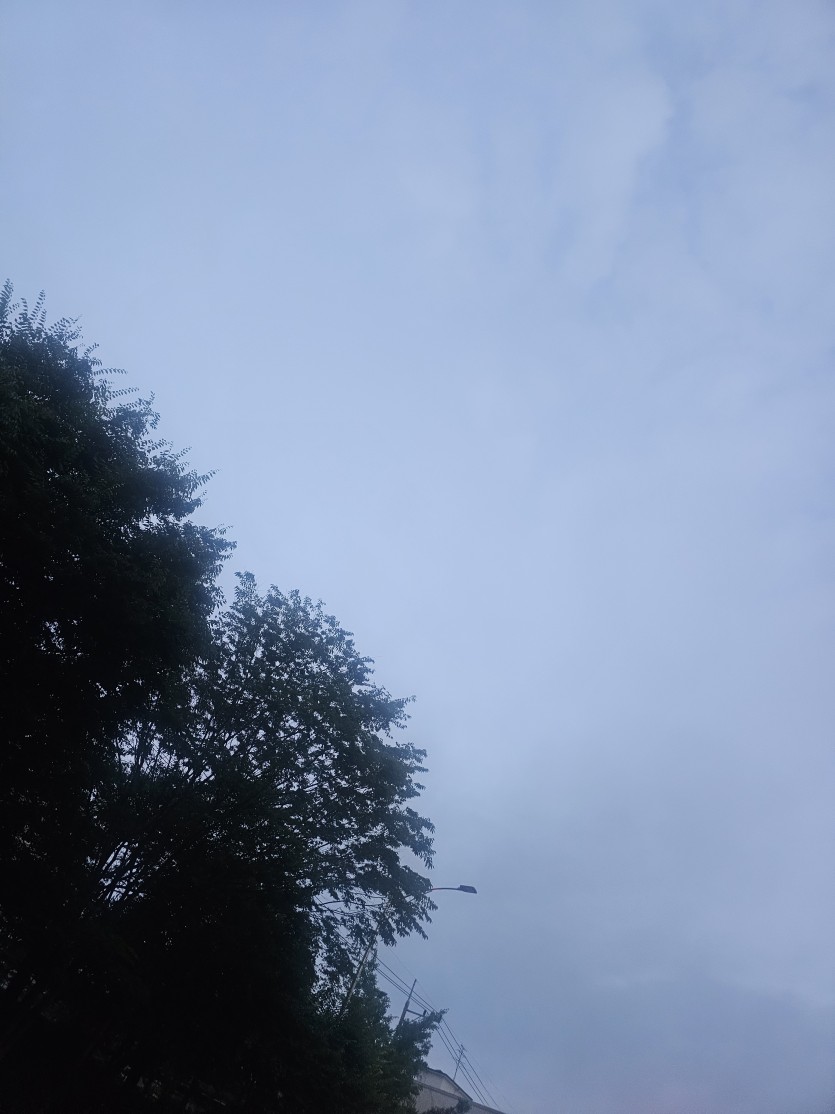 흐리군요(0)