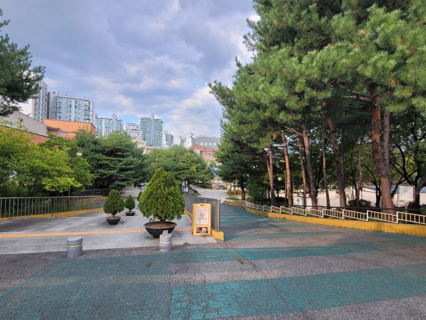 간만에 다녔던 초등학교(0)