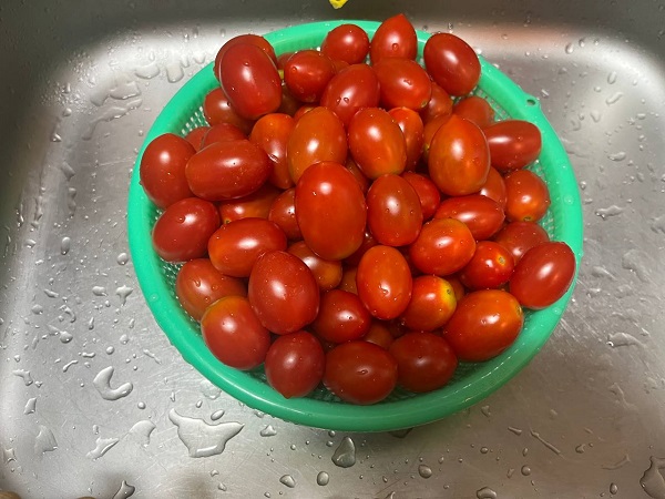 방울토마토가 배송완료입니다(0)