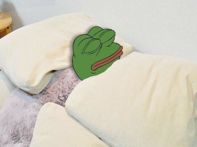오침하시나요(0)