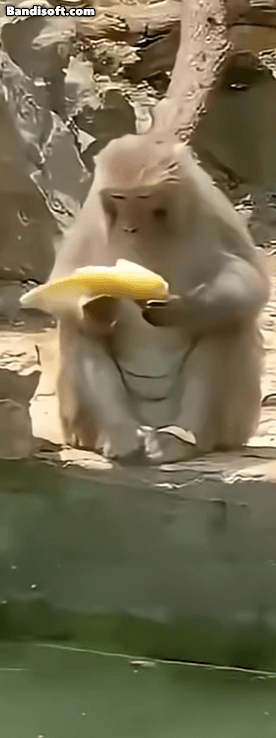 진짜 좀 집중해요. 이건 아닙니다 정말 ㅋㅋㅋㅋㅋㅋㅋ(0)