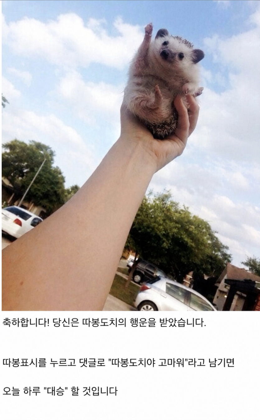 이게 뭐죠????(0)