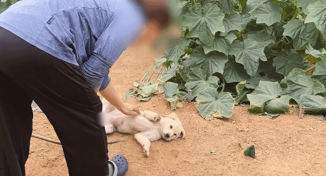 개점심 먹으러 가시죠 호호(0)
