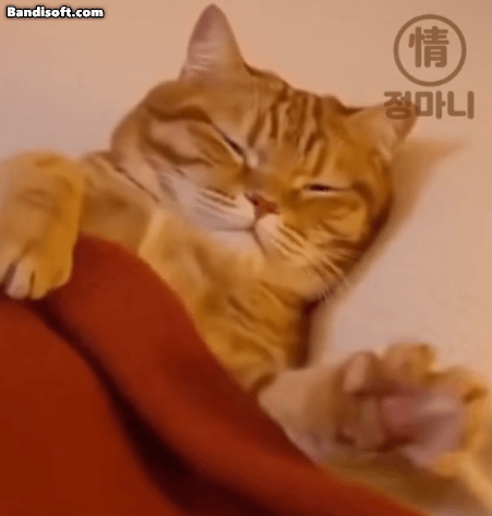 내가 남들놀릴수있는 몇안되는것중에 하나.(0)