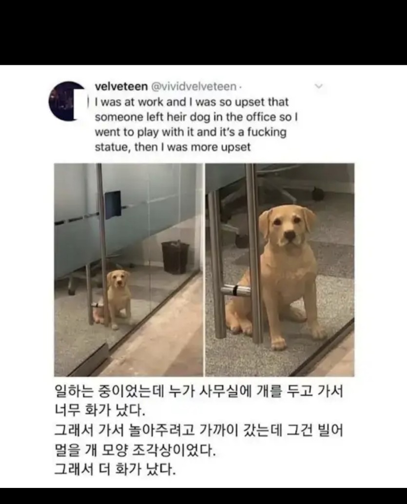 화가나는사람(0)