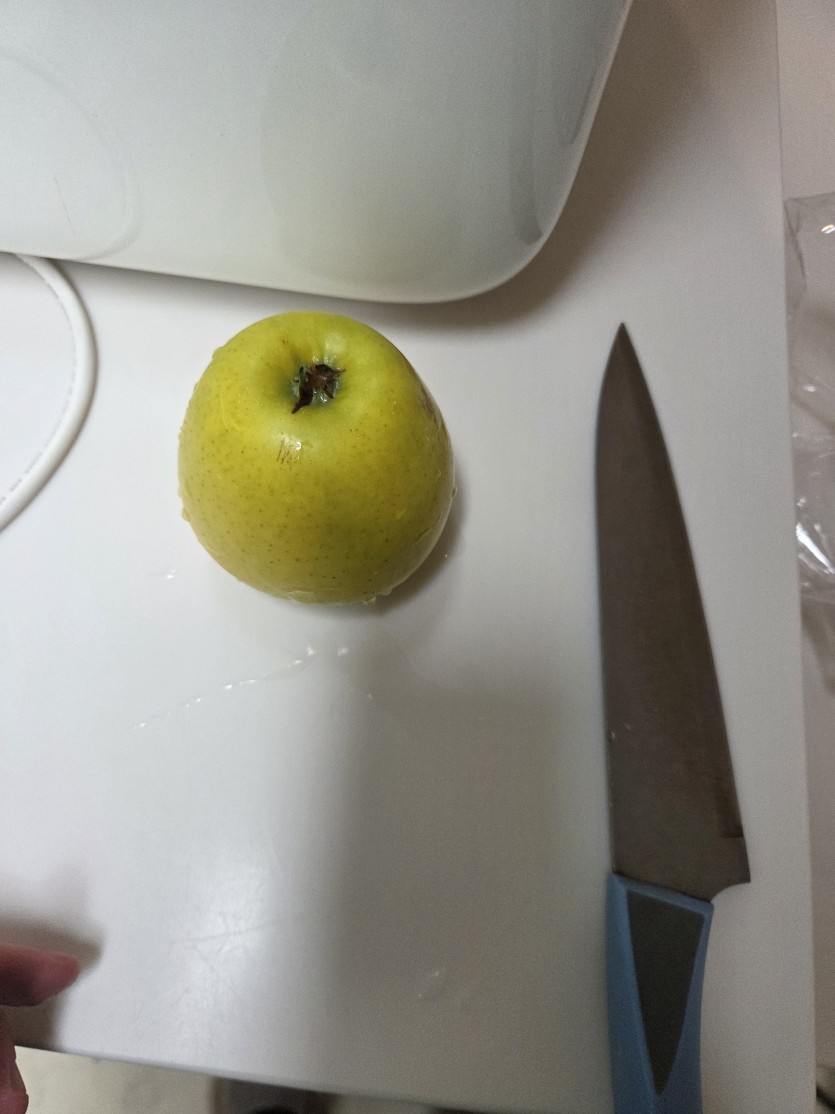 2차 후식 사과로 마무리입니다(0)