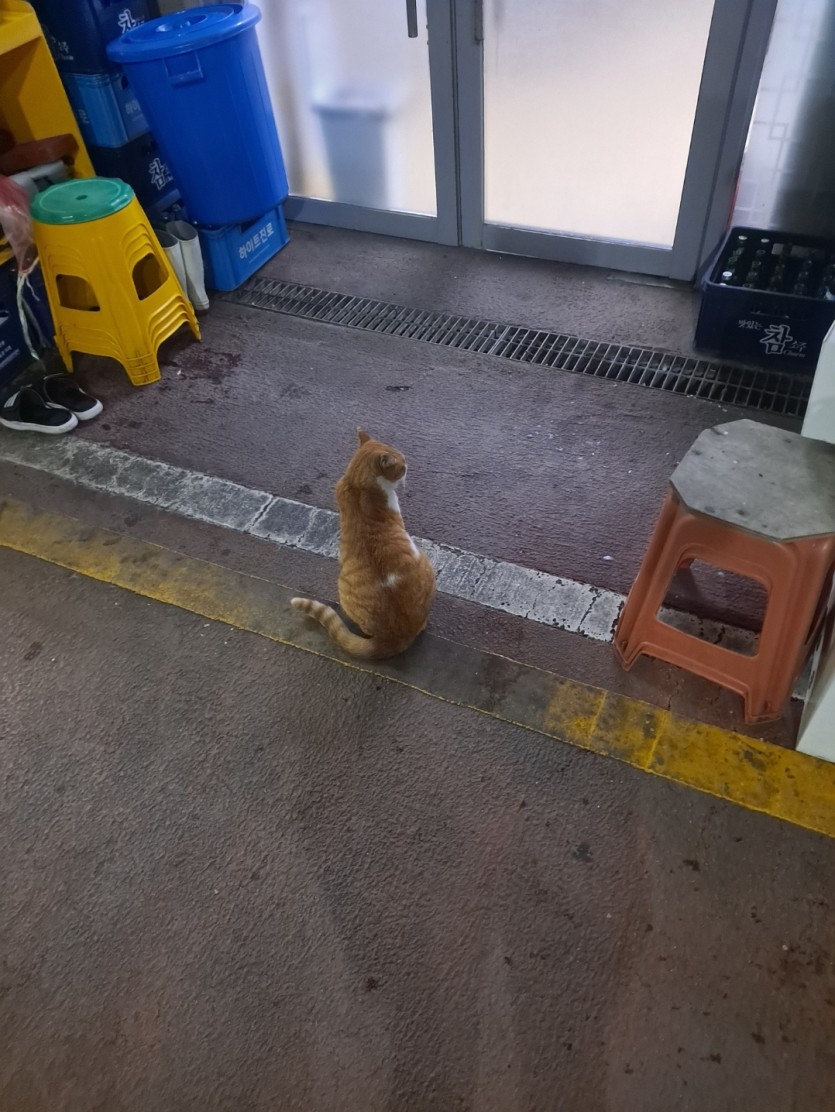 멀원하는거냐???(0)