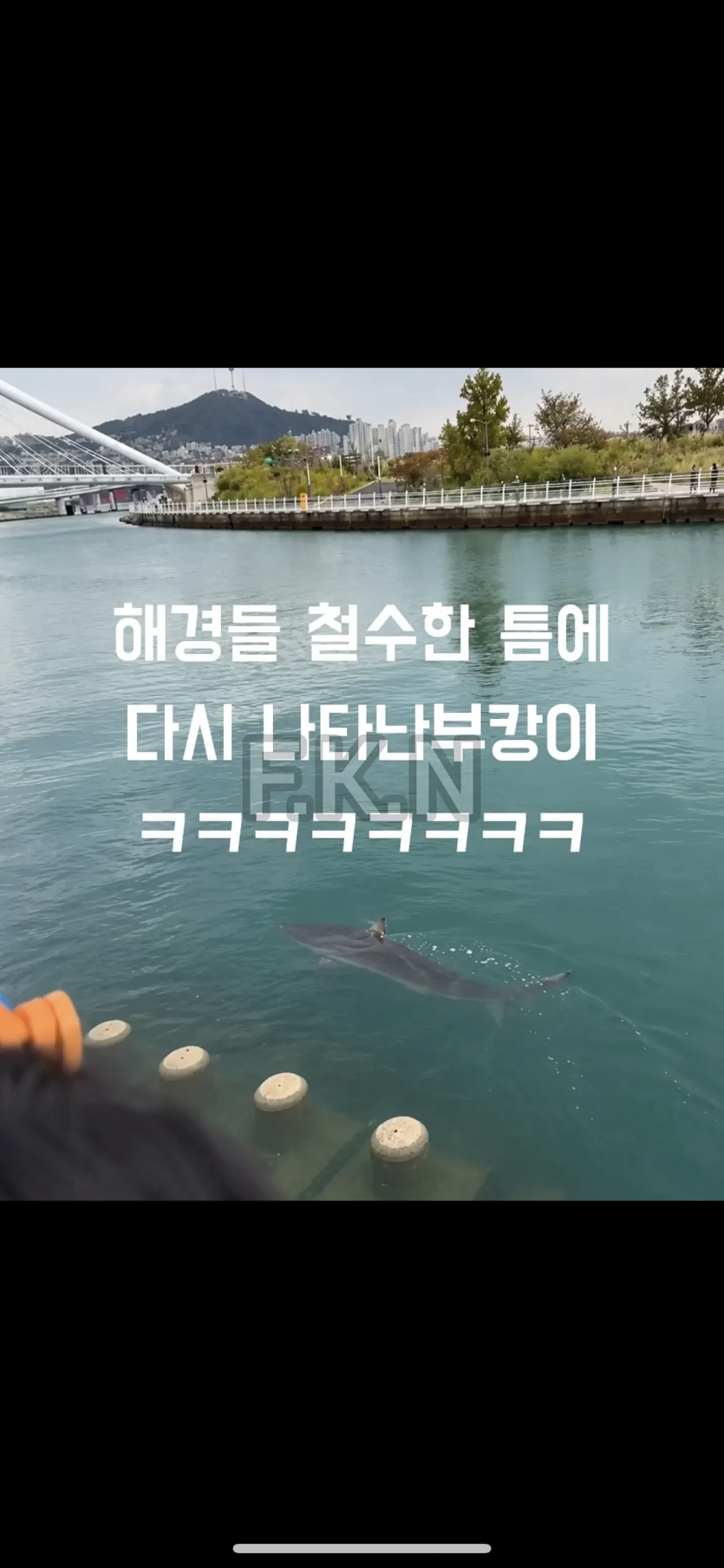 부캉이 해경이 보내고 ㅎㅎ(0)