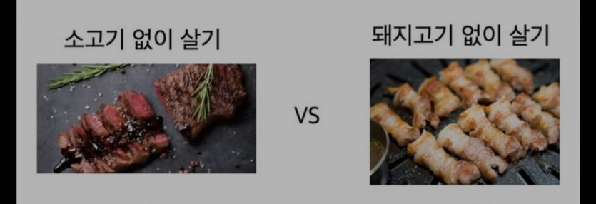 소고기 vs 돼지고기(0)