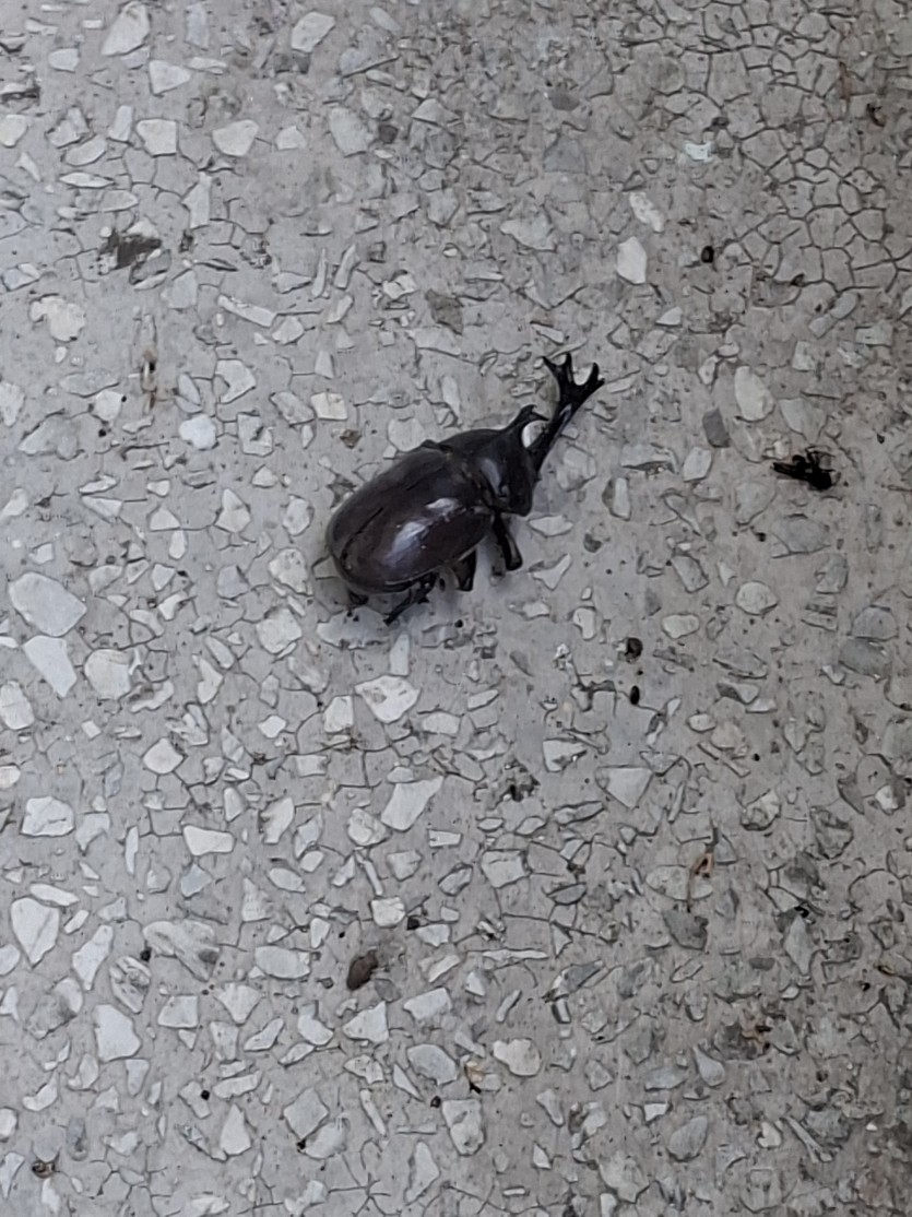 R I P(0)