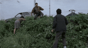 포바 가자말자 바로꺽이네?(0)