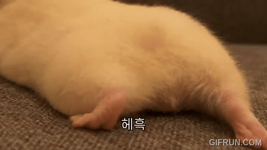 강력한게 오네요.(0)