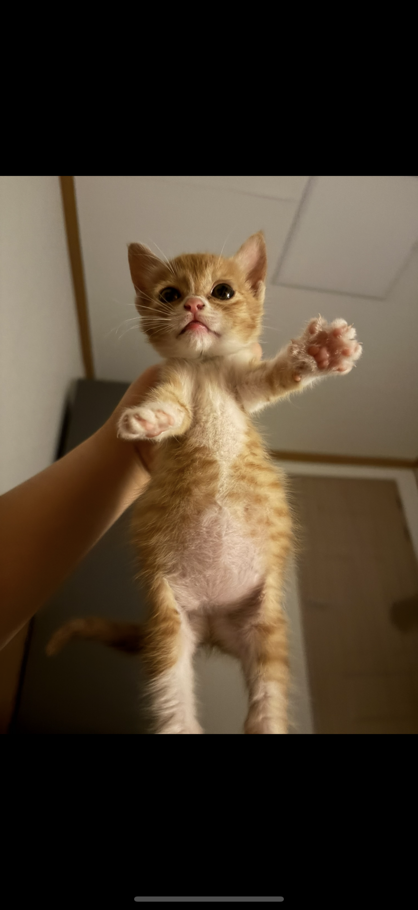 오늘도 뽕알이 막컷(0)