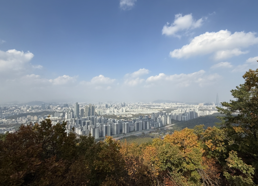 뒷동산 점령완료(0)