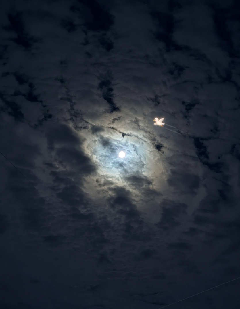 밤하늘 너무 이쁘네요!(0)