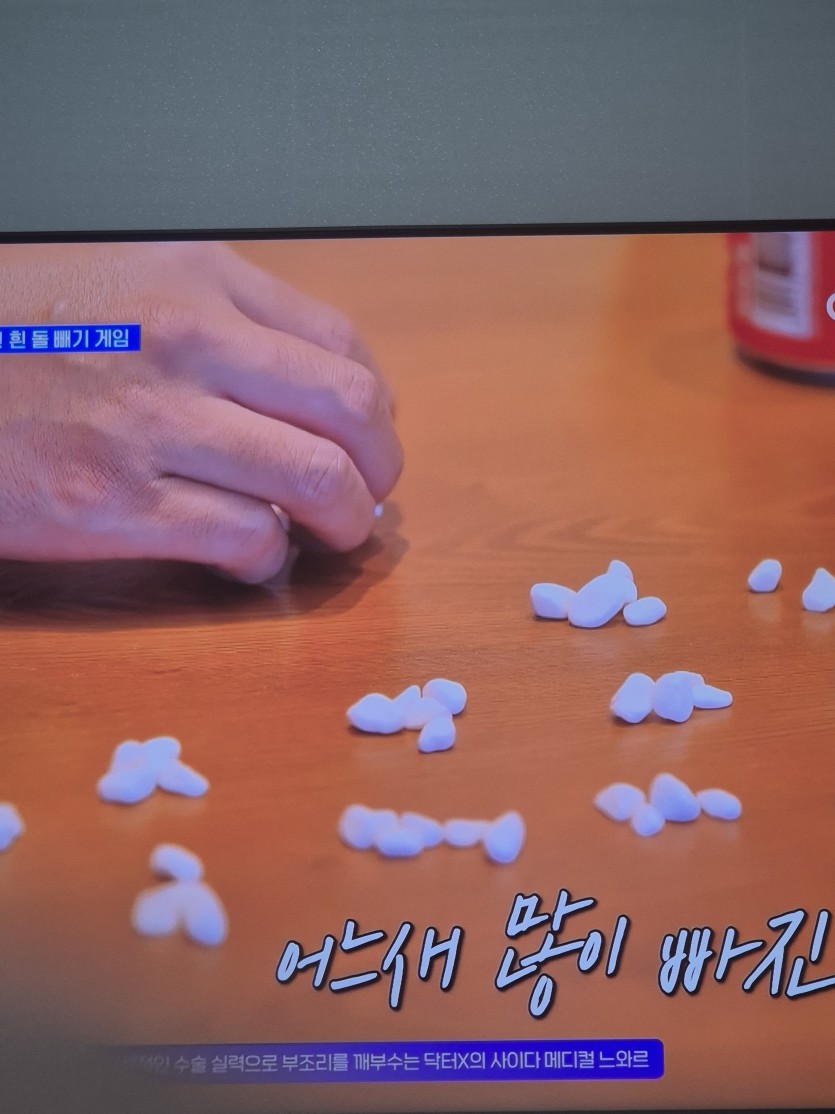 예능에서 판탄하노(0)