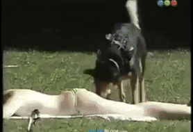 오늘 포바 승부가 잘안되는군요(0)
