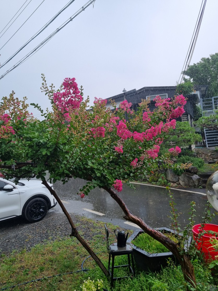 비가 오지게쏟아집니다~~(0)