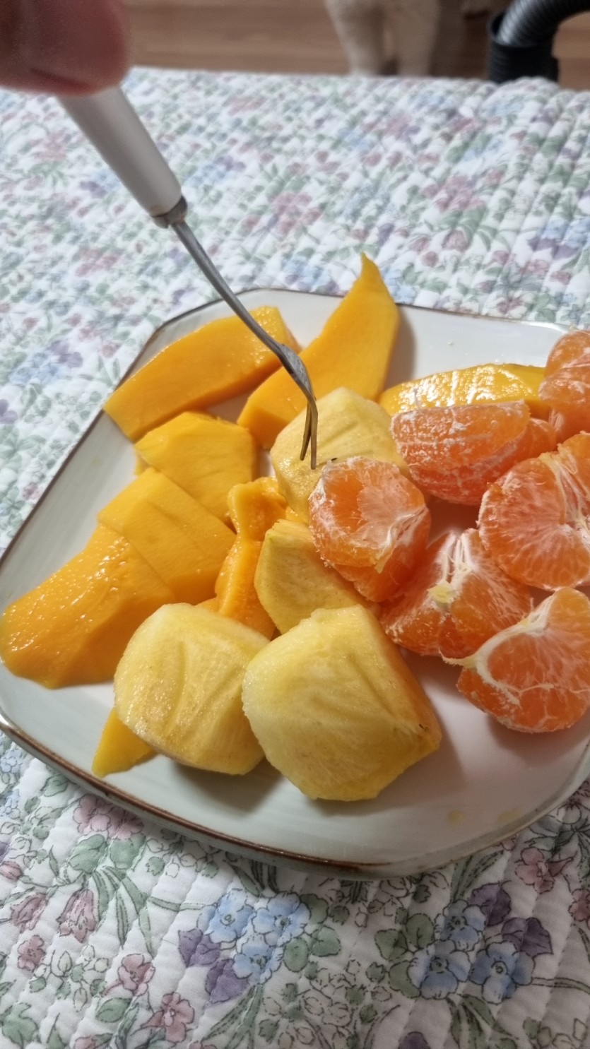 맛후땡 말고(0)