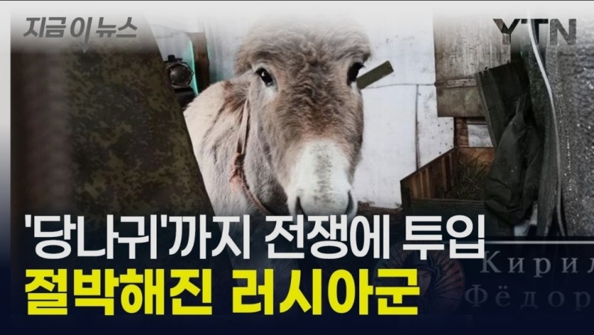 이게 그 당나귀군대인가요??(0)