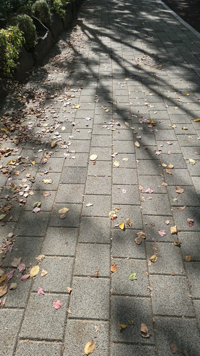 달리기(0)