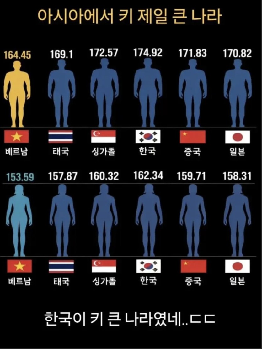 아시아 키 근황(0)