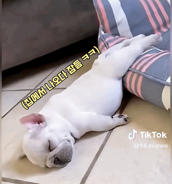 굿밤되세영~~(0)