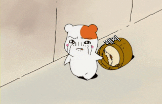 새벽반 화이링(0)