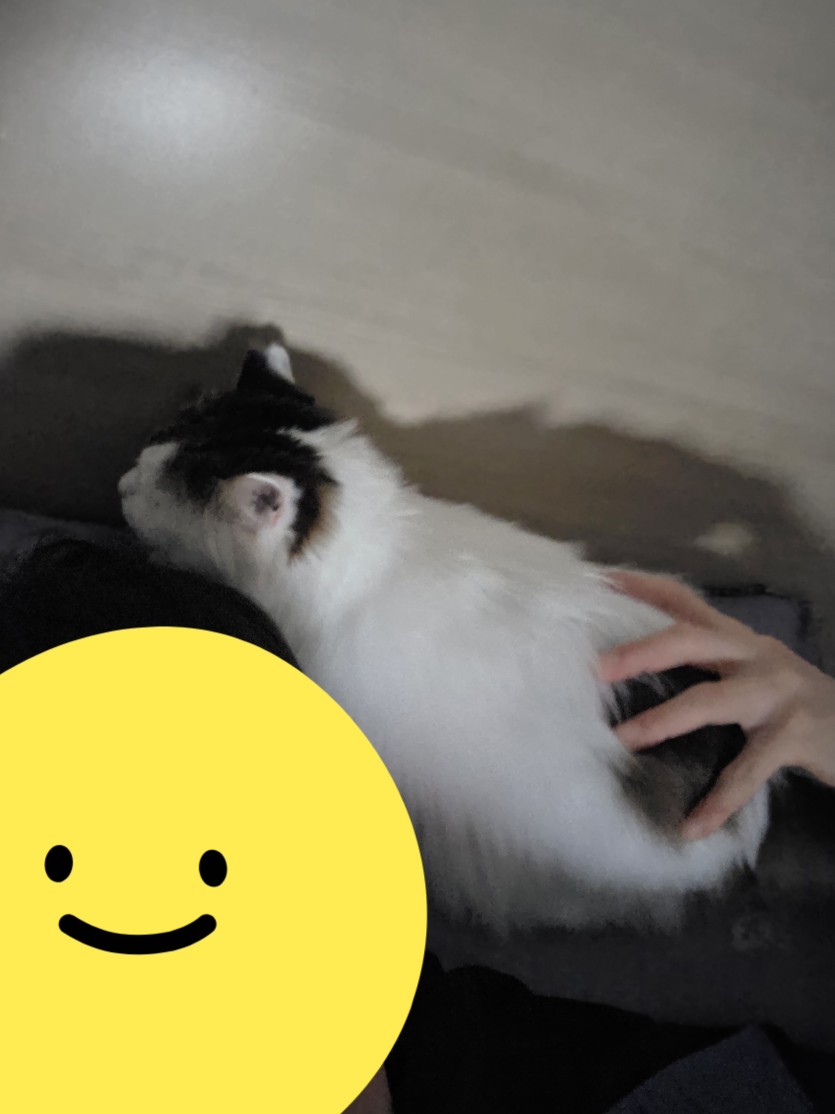 부르릉부르릉(0)