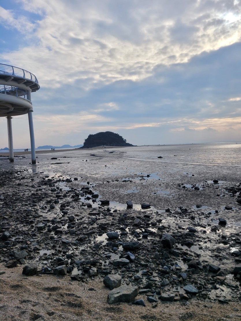 드라이브 나왔는대(0)