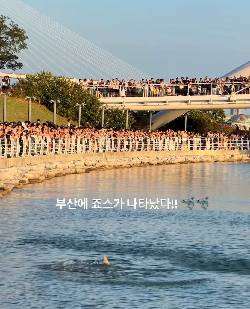 오늘 여기가서 옥수수를 팔았으면 얼마야(1)