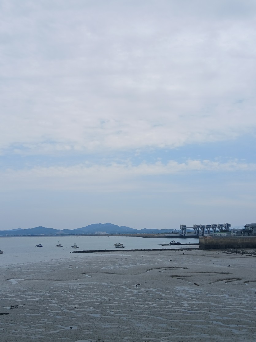 당진 가요제 구경 왔습니다(1)