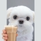 커피게임 신중요(0)