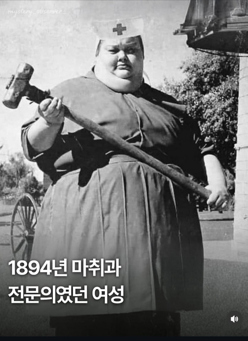 마취꼭해야하나효?(0)